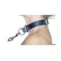Würgehalsband mit D Ring – Hochwertiges Dressurhalsband für optimale Kontrolle