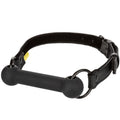 Calexotics - Boundless Bar Gag