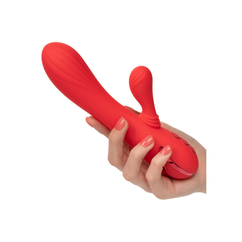 Calexotics - Palisades Passion Rot