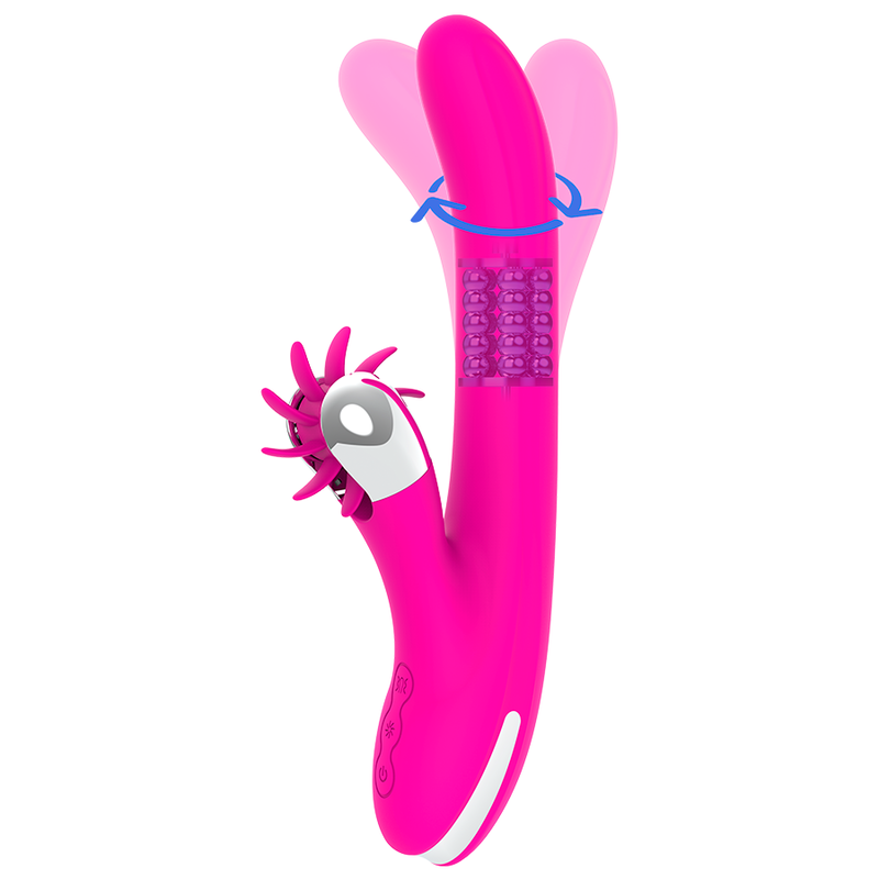 DIVERSIA - CHICKEN ROTATION 24 CM