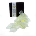 Taloka - Vanillenbl�ten, Parf�miert Mit Aphrodisiakum-Duft