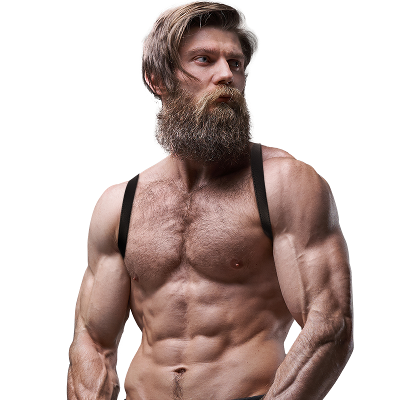 Fetish Submissive Attitude - Rãœckenharness Aus ÖKoleder Fãœr Herren