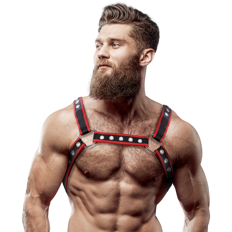 Fetish Submissive Attitude - Eco-leather chest bulldog harness for men, black/red