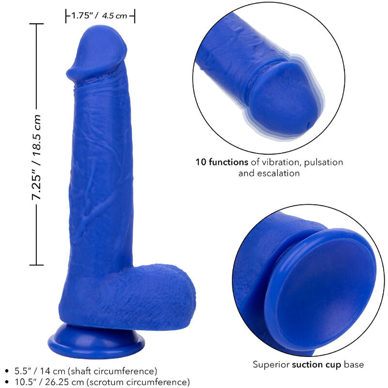 Calexotics - Admiral Captain Realistic Dildo Vibrator Blue