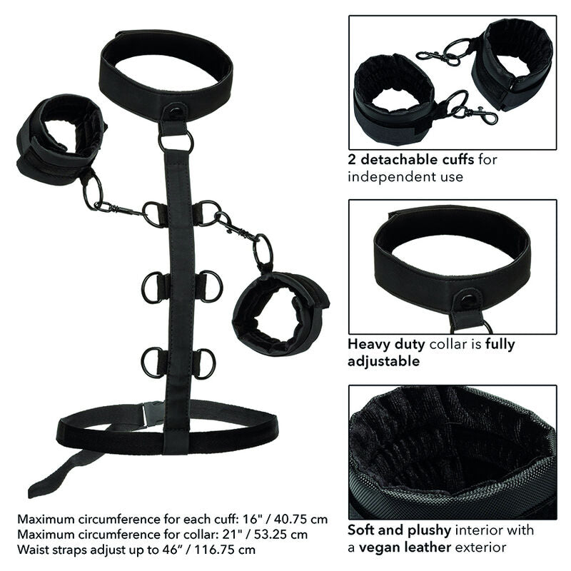 Calexotics - Boundless Collar Body Guide