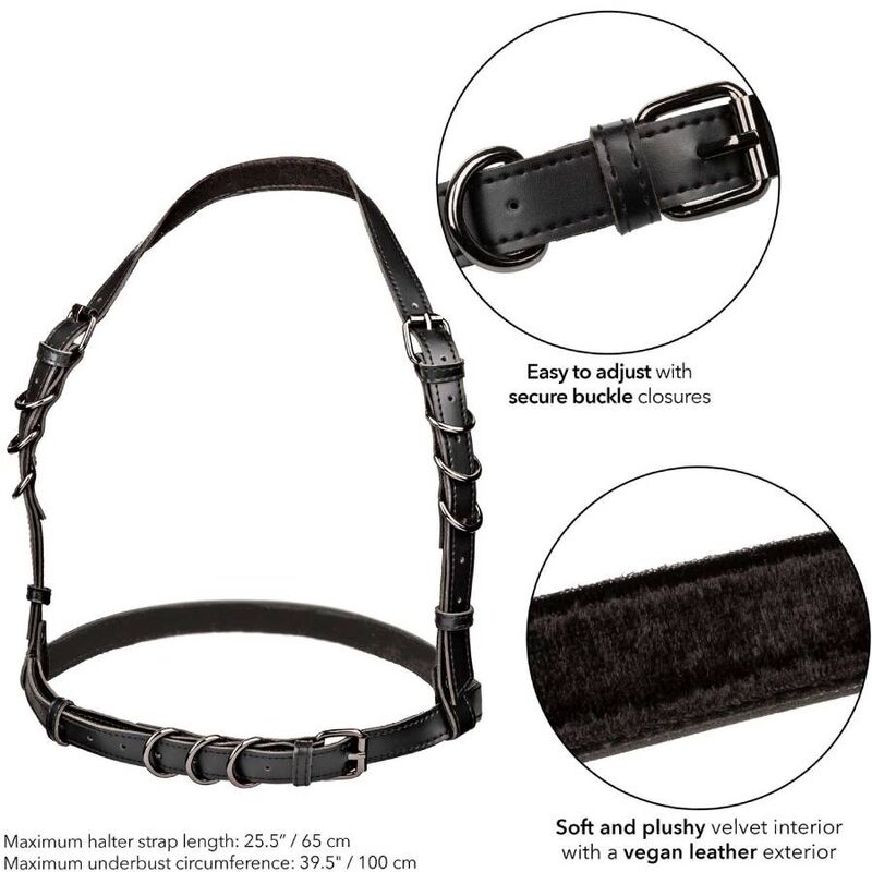 Calexotics - Euphoria Half-Buckle Harness Black