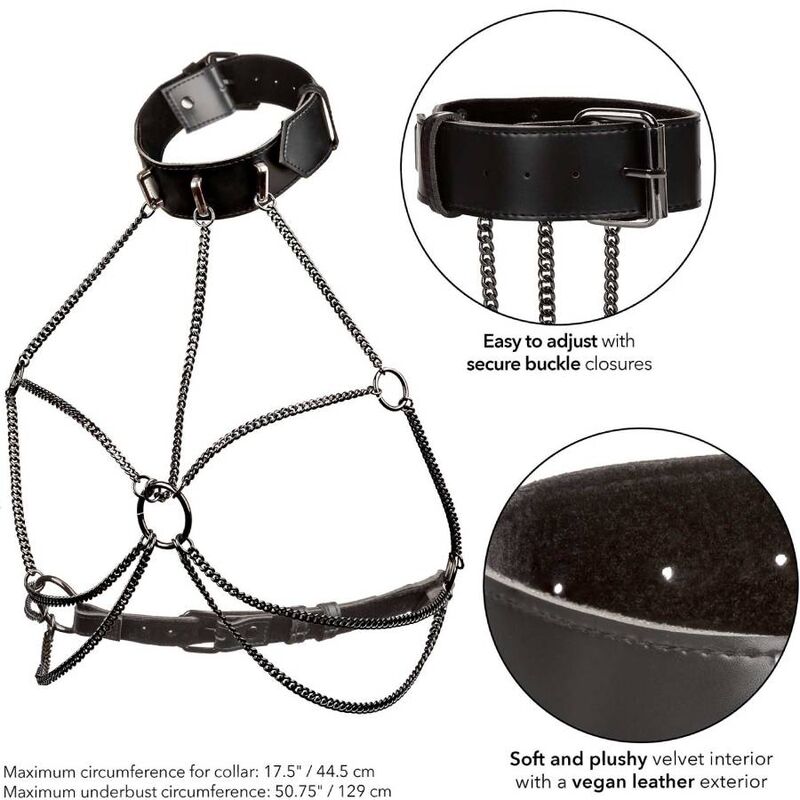 Calexotics - Euphoria Plus Size Multi-Chain Harness