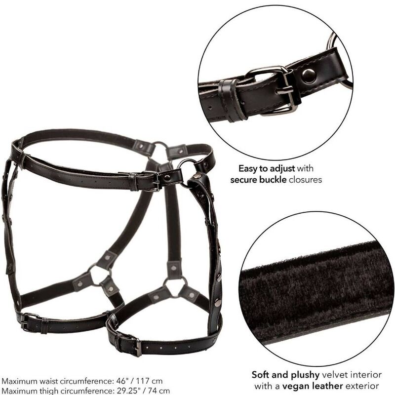 Calexotics - Euphoria Plus Size Riding Crop Harness