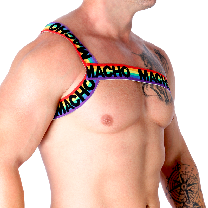 Macho - Rã–Misches Geschirr Pride S/M