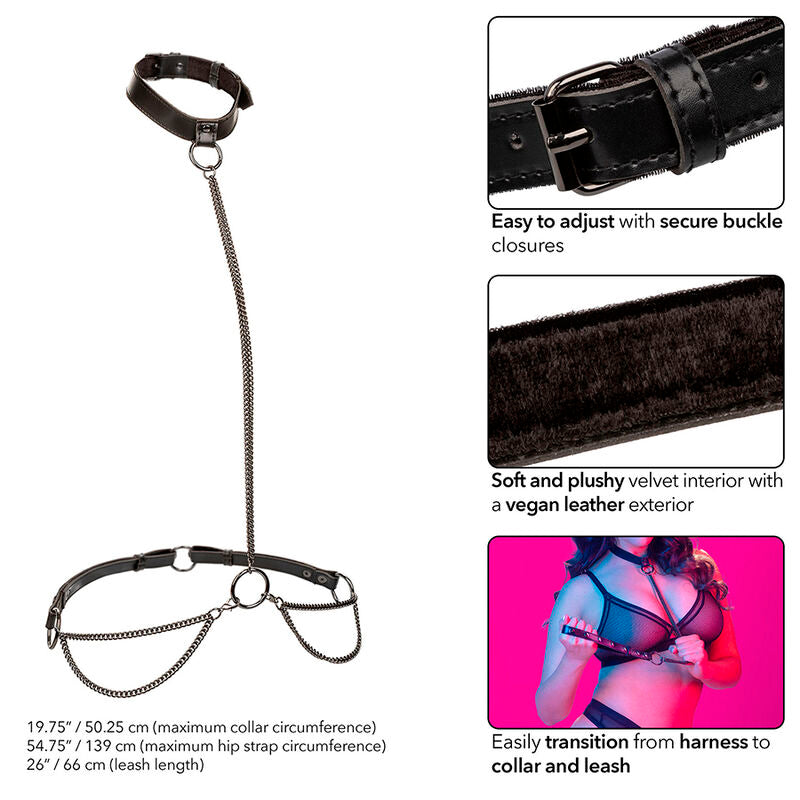 Calexotics - Euphoria Kettenhalfterhalsband Und Leine Übergrã–Sse