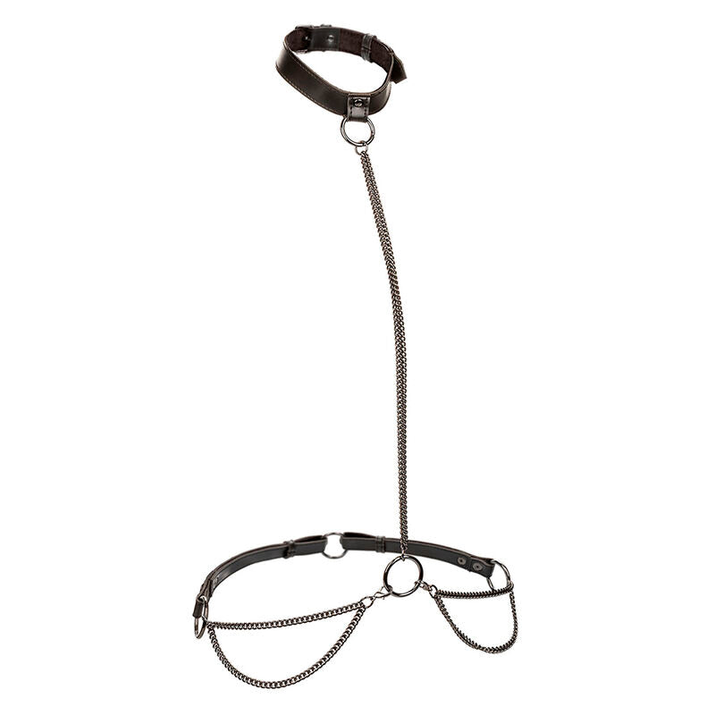 Calexotics - Euphoria Kettenhalfterhalsband Und Leine Übergrã–Sse