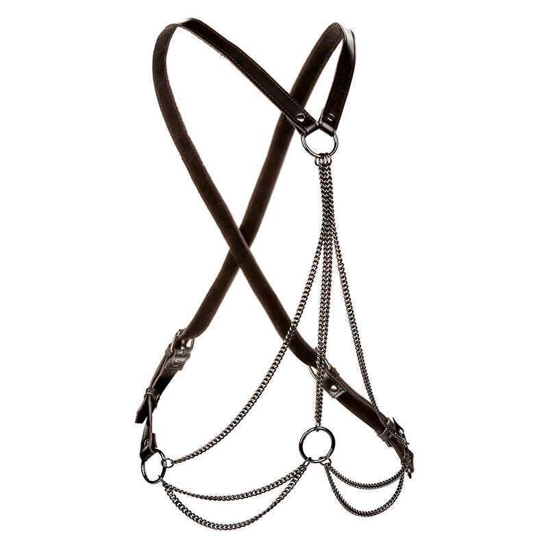 Calexotics - Euphoria Multichain Harness Premium Übergrã–Sse