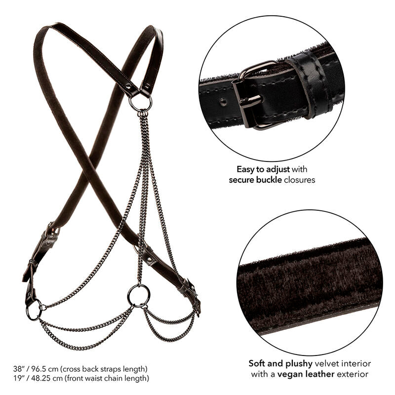 Calexotics - Euphoria Multichain Harness Premium Übergrã–Sse