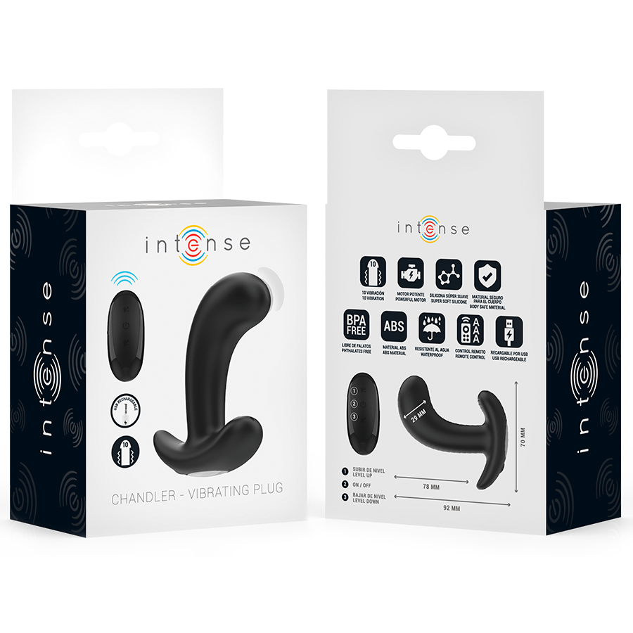 Intense - Chandler Anal Plug 10 Vibrationen Schwarz Fernbedienung
