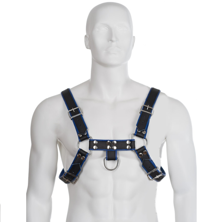 Leather Body - Blau-Schwarz Ledergeschirr Brust Bulldog